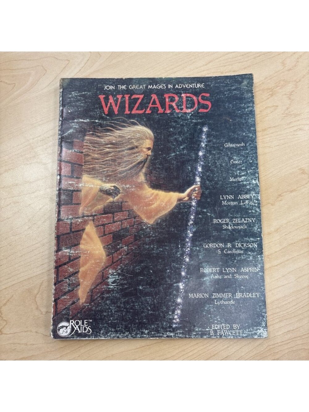 1983 Wizards Fantasy Roll-Playing Mayfair Games Book Dungeons & Dragons Game